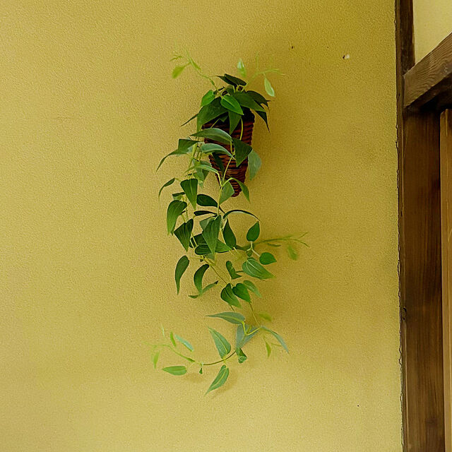 belleの-【フェイクグリーン】光触媒インテリアプランツバスケット 壁掛け クレマチス 造花の家具・インテリア写真