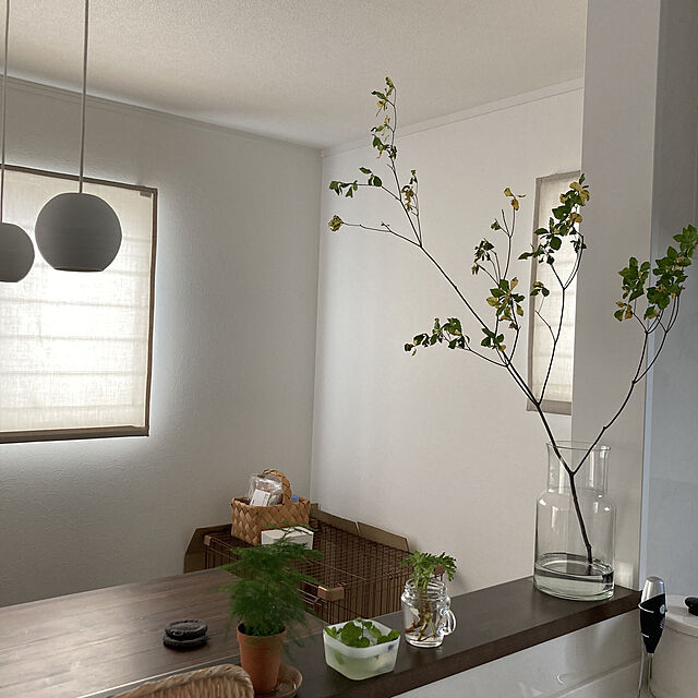 kumaの-AP35769L コイズミ照明 とことわ　和敬清寂透陽 すかしび　和風コード吊ペンダント　[LED電球色]の家具・インテリア写真