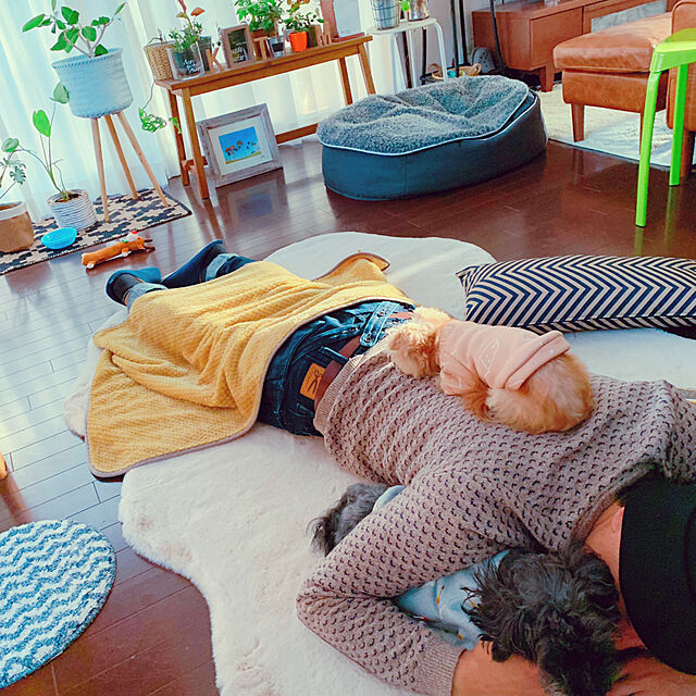 risaのインテリアショップゆうあい-ムートンラグ ムートンフリース ムートン フェイクファー ふわふわラグ 約120×180cm （4匹サイズ） カーペット マット Mouton 絨毯 手洗い可能 短毛タイプ フェイク (Y)の家具・インテリア写真
