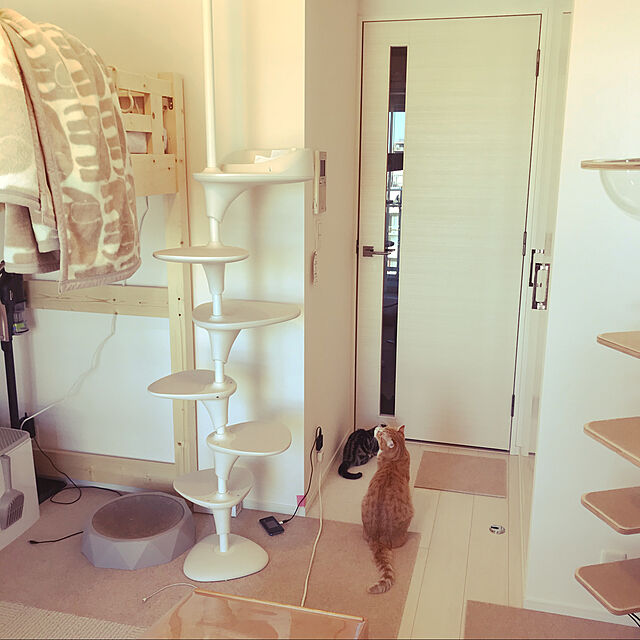 foxcave_nwのテラモト-オッポ (OPPO) キャットフォレスト ホワイトの家具・インテリア写真