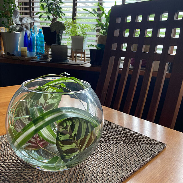 kan2のfelizdia-ガラス 容器 テーブル ボウル 金魚鉢 大 おしゃれ インテリア オブジェ アクアリウム テラリウム 花瓶 (18cm)の家具・インテリア写真