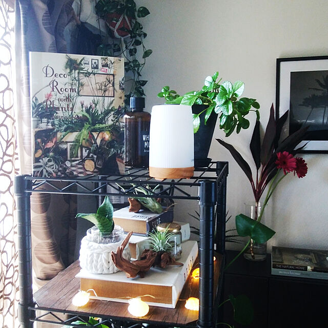 miwaのビー・エヌ・エヌ新社-Deco Room with Plants here and thereー植物とくらす。部屋に、街に、グリーン・インテリア&スタイリングの家具・インテリア写真
