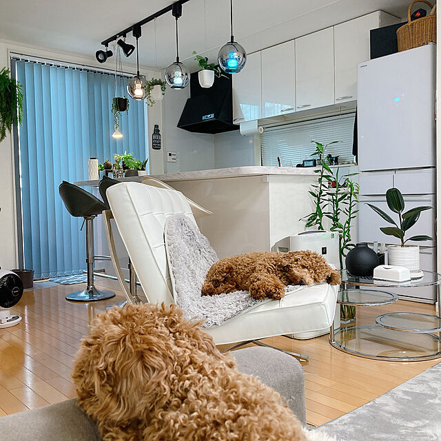 kazuのプレジャー-バルセロナチェア　イタリアンレザー仕様 色ホワイト　ミースファンデルローエによるデザイン　リプロダクト　ジェネリック　デザイナーズ家具　本皮製 牛革製の家具・インテリア写真