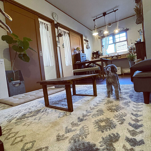 meguko.ryanのイケヒコ・コーポレーション-モルドバ製 ウィルトン織り カーペット 柔らかタッチ アイボリー 約200×250cmの家具・インテリア写真