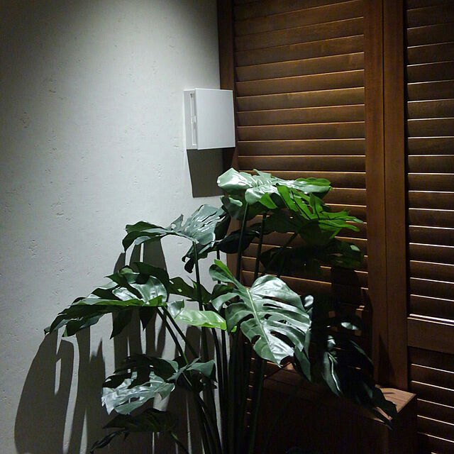 minnieの-光触媒 観葉植物 光の楽園モンステラ 高さ1.2mインテリアに人工観葉植物 フェイクグリーンの家具・インテリア写真