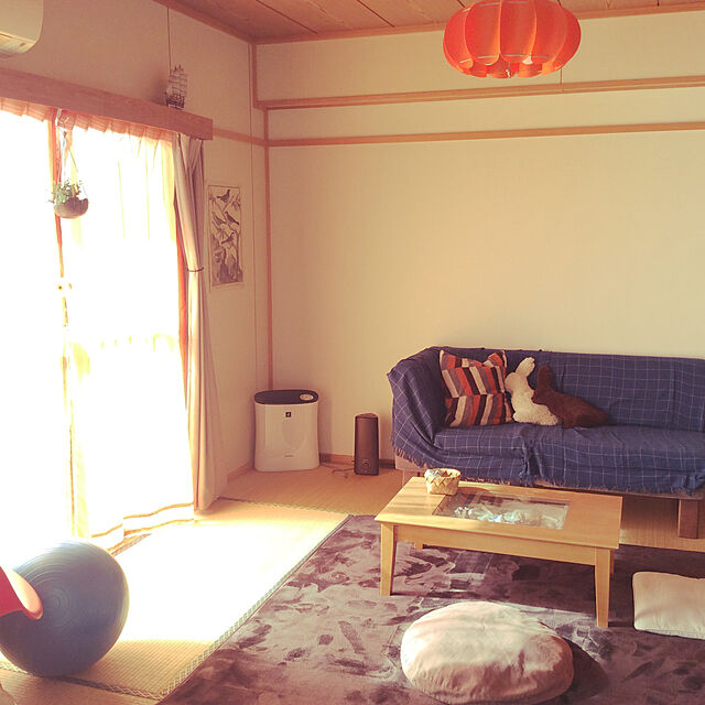akanekoのニトリ-クッションカバー(ジグザグH) の家具・インテリア写真