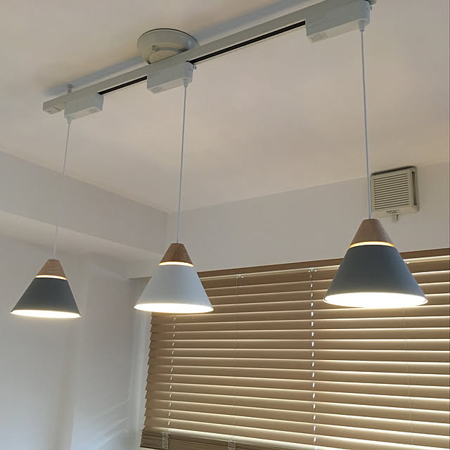 koaoの-コイズミ照明 ダクトレール用ペンダント AP45523Lの家具・インテリア写真