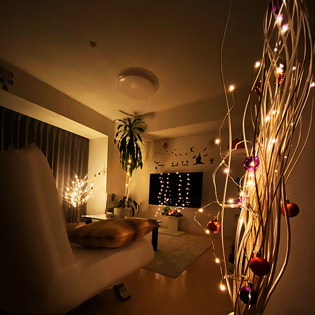 santaの-salut!(サリュ) ホーム LEDライトカーテン その他の家具・インテリア写真
