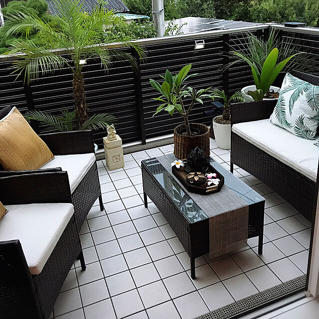 yukikoの-【選べる現品発送】フェニックス　ロベレニー　8号セラアート鉢植え（ブラック）の家具・インテリア写真