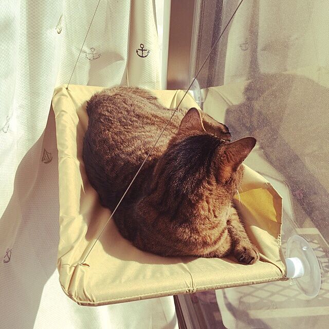 Shihoの-life_mart ねこちゃんベッド ネコ専用テラス ペットテラス 吸盤タイプ 猫 ペット ベット 窓 ガラスの家具・インテリア写真