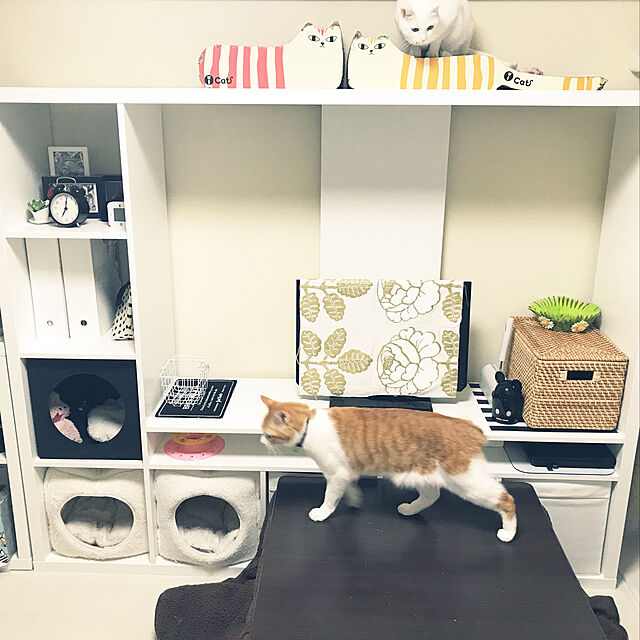 toracoのiCat-iCat アイキャット オリジナル つめとぎ しまネコロング イエローグリーン 猫 つめとぎの家具・インテリア写真