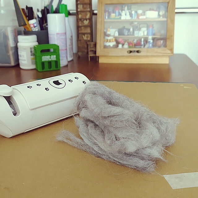 +CHIHARU+の猫壱-猫壱（necoichi） 抜け毛取りワイパー® ミクロ繊維ブラシが抜け毛をからめとるの家具・インテリア写真