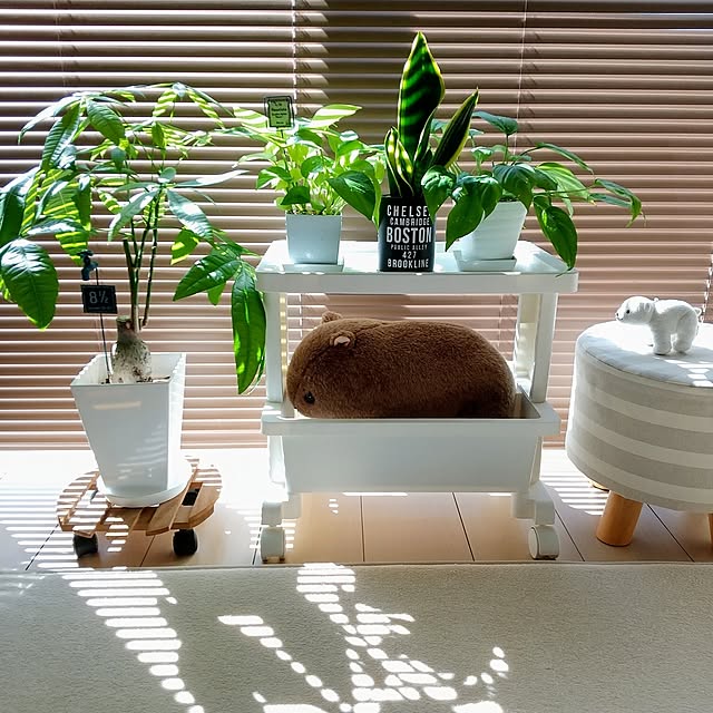 meiの-蛇口 プレート ガーデンピック ロビネピック milcloverの家具・インテリア写真