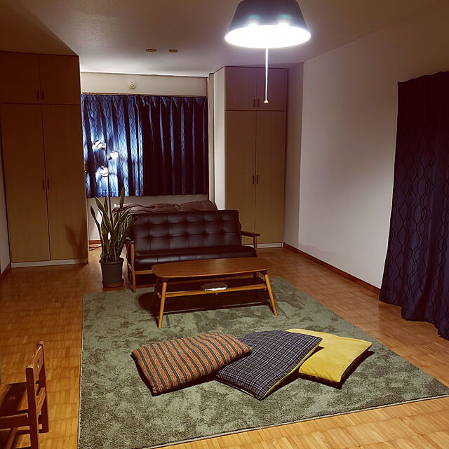 amiamimikoのニトリ-防音・防炎・抗菌カーペット(デュプレ DBR 200X300) の家具・インテリア写真