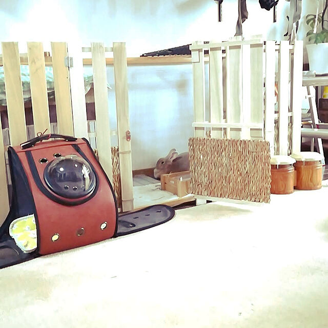 sachiko283のpop joie-【pop】ペットバッグ 宇宙船カプセル型ペットバッグ リュック機能付き アメリカ人気モデル ペットバッグ 犬猫兼用（ブラウン）の家具・インテリア写真