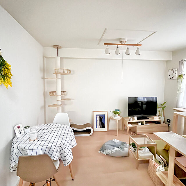 kiyomiの-キャットタワー ベッド ステップ ハンモック おしゃれ SUMIKA 突っ張り型 木製 キャットタワー 専用 フレンチバルコニー ジュリニャッタ Mの家具・インテリア写真