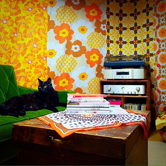 hilaの主婦の友社-パリジェンヌの楽しいおかたづけの家具・インテリア写真