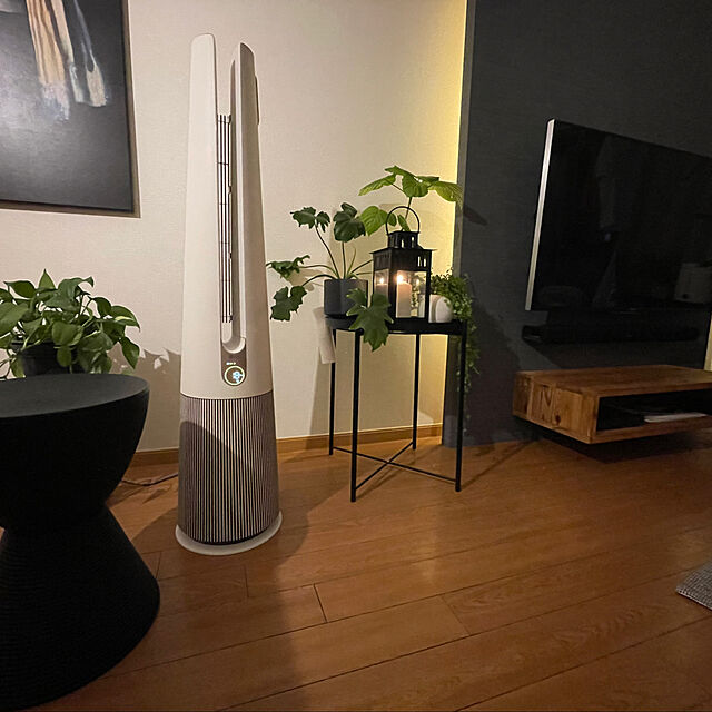 akoのLG Electronics Japan株式会社-【ベージュ】温風・送風機能付き3in1空気清浄機 LG PuriCare™ AeroTowerの家具・インテリア写真