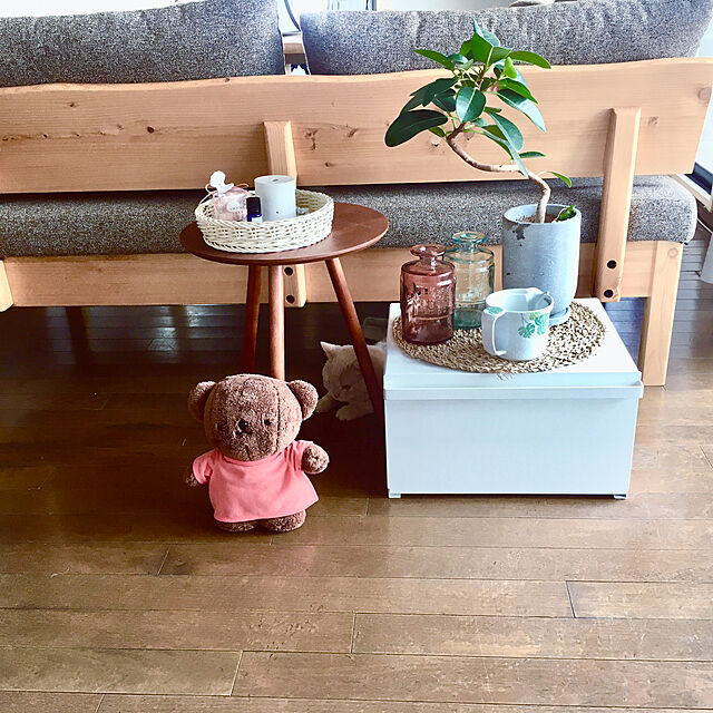 naokoのセキグチ-セキグチ ボリスベア ぬいぐるみの家具・インテリア写真