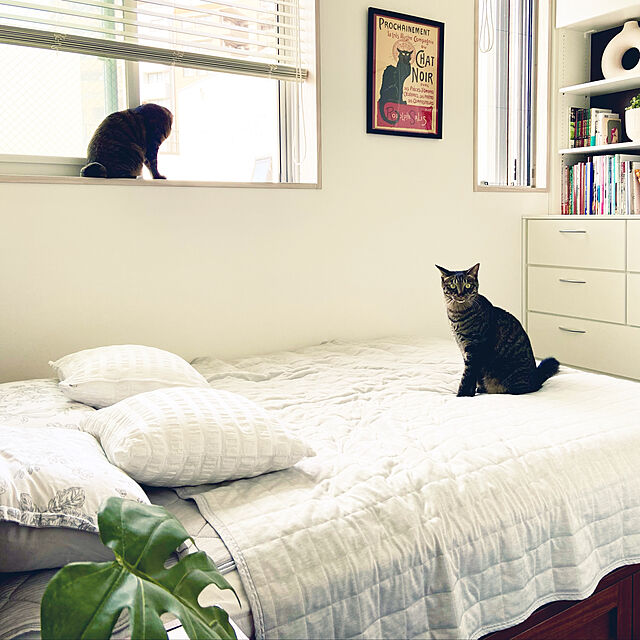 kouの-ウォルナット材のベッドサイドテーブルの家具・インテリア写真