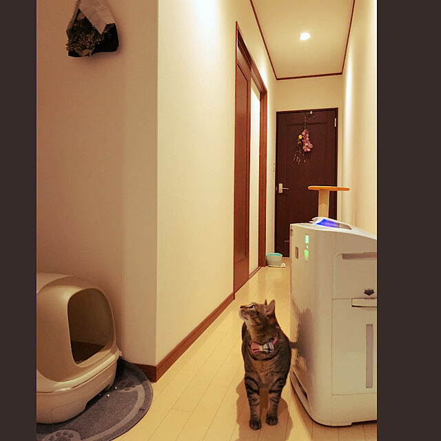 mimiruruのアイリスオーヤマ-アイリスオーヤマ システムトイレ用 1週間取り替えいらずネコトイレ 脱臭サンド 6Lの家具・インテリア写真