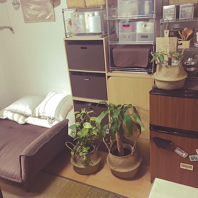 yomiyomiのイケヒコ・コーポレーション-い草ラグ　ＮＣＸクリア　【イケヒコ】の家具・インテリア写真