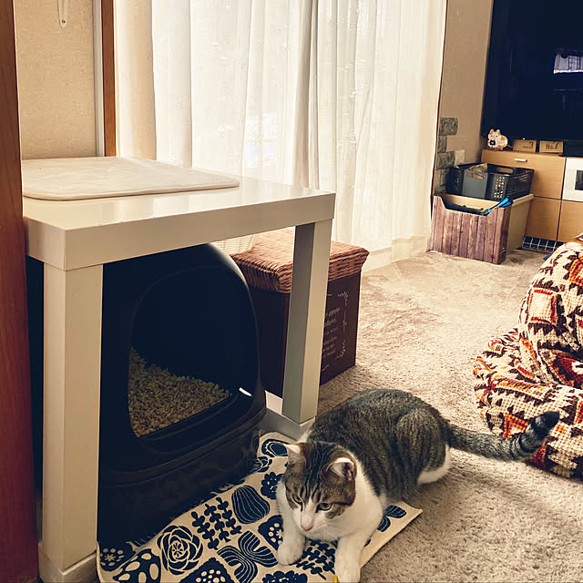 Lufuの花王-ニャンとも清潔トイレセット [約1か月分チップ・シート付] 猫用トイレ本体 ドームタイプ ブラウンの家具・インテリア写真