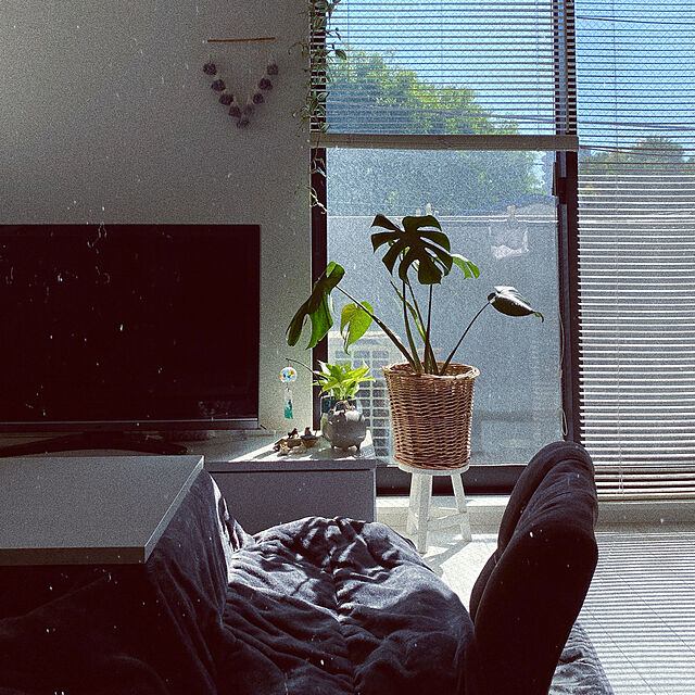 Hikariのニトリ-リビングこたつ(ステインC 8060 WHITEWASH) の家具・インテリア写真