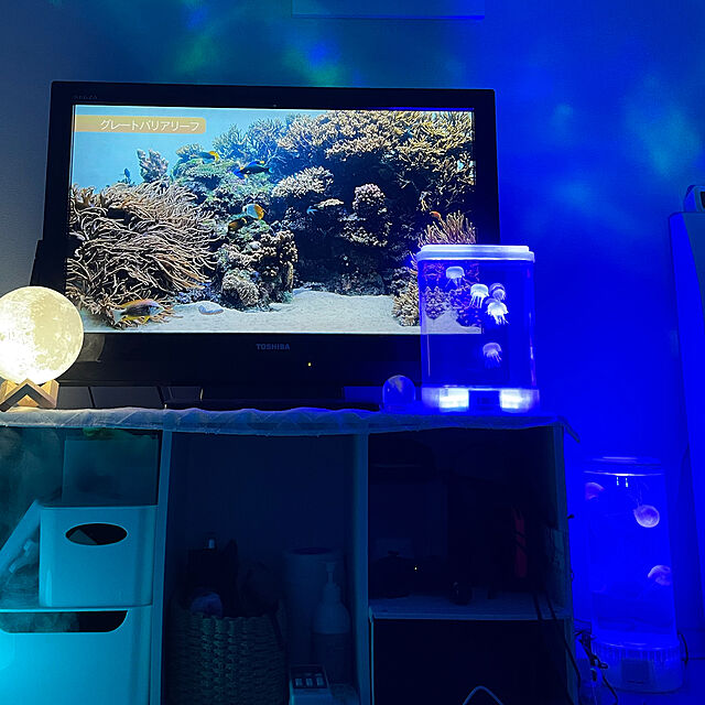 amiのイシグロ-【お取り寄せ】イシグロ 18158 オブジェ クリア W18.5×D7.4×H26.6cm AQUARIUM アクアリウム 海の仲間たち ミニクラゲスクエア M インテリア LED 照明 癒し リラクゼーションの家具・インテリア写真