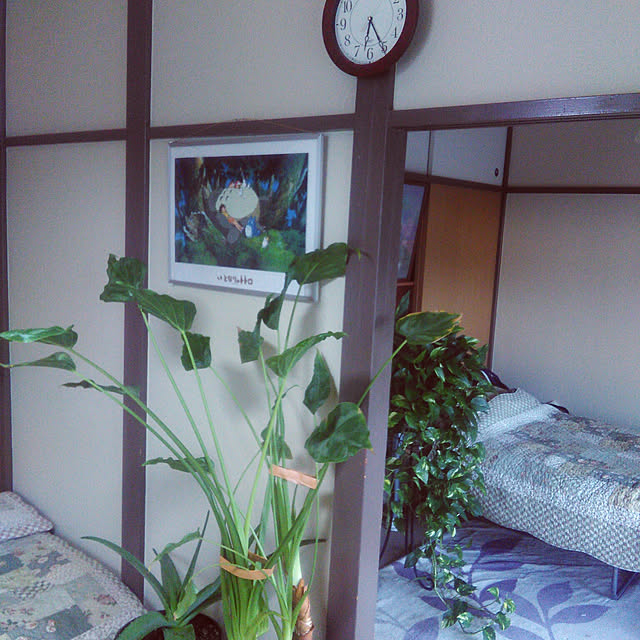 qpieの-観葉植物 ポトス タワー仕立て 10号鉢 茶かご 受け皿付き ブラウンバスケット 高さ170〜180cm程度 大型 インテリアグリーン ギフトの家具・インテリア写真