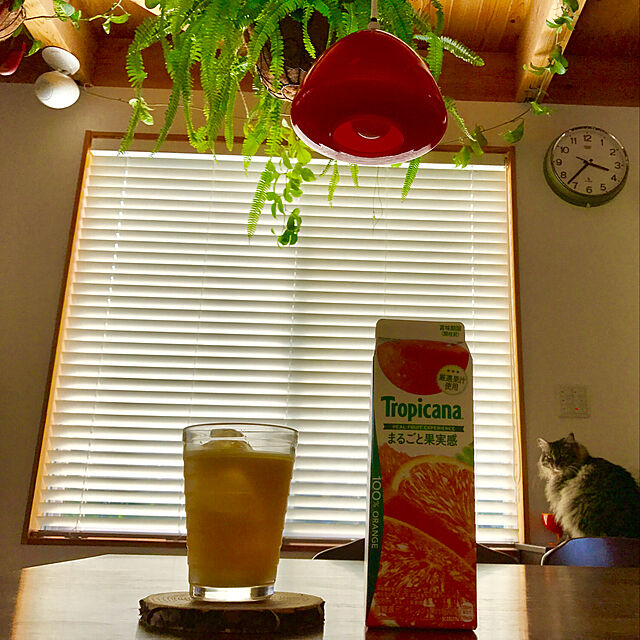 sakurasakuの-キリンビバレッジ トロピカーナ100% オレンジ 330mlペットボトル(24本入り1ケース)栄養機能食品 オレンジジュース※ご注文いただいてから4日〜14日の間に発送いたします。/ot/の家具・インテリア写真