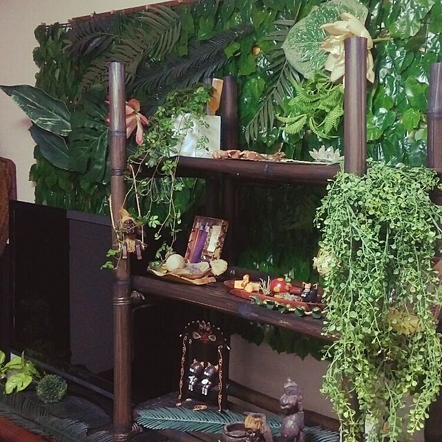 chayの-「ツルが長いロングtype」は今の時期だけの限定販売！パルテノシッサス シュガーバインおしゃれなインテリア観葉植物の家具・インテリア写真