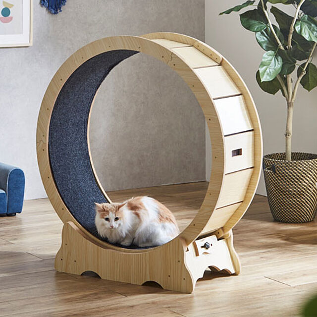 SouthOrangeのWill-Limited.-ペットホイール ペット用 ペット家具 左右回転ホイール 運動器具 犬 猫 木製 の家具・インテリア写真