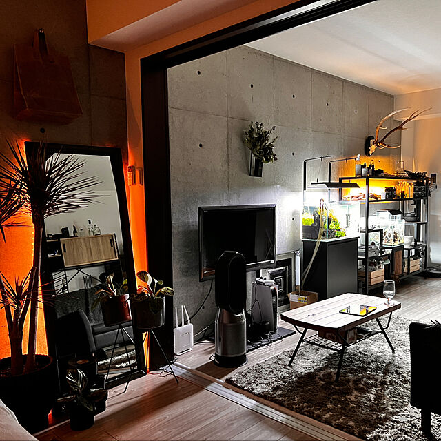 Ryotaのイケア-KNOPPÄNG クノッペング フレームの家具・インテリア写真