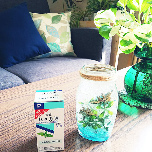 akiwaka-roomの健栄製薬-◆健栄製薬 ハッカ油P（食品添加物） 20mlの家具・インテリア写真