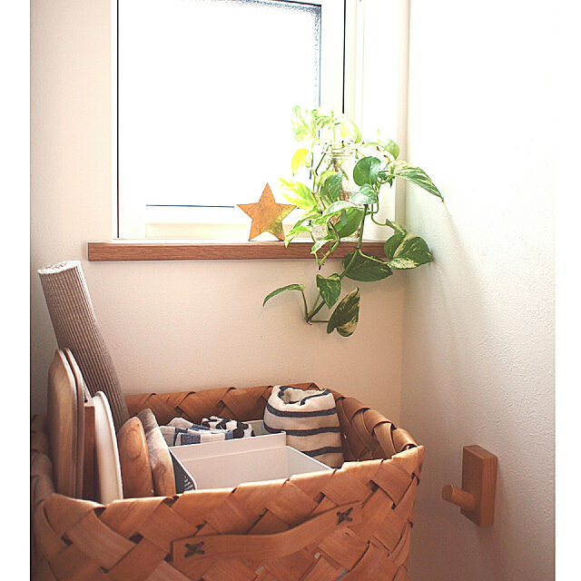 yunohaの-※ポトス マーブル（3号）【人気】の家具・インテリア写真