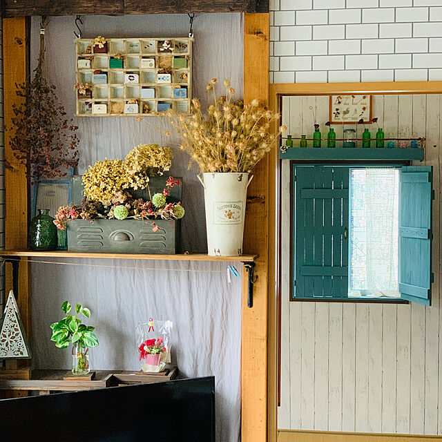 hirokoの-（観葉植物）ポトス　エンジョイ　3～3．5号（3ポット）【HLS_DU】の家具・インテリア写真