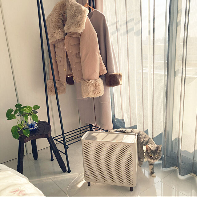 yori_miniのBRUNO-ブルーノ BRUNO コンパクトフロア空気清浄機の家具・インテリア写真