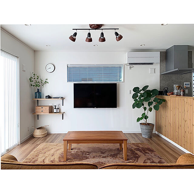 seriのニトリ-Φ10cmラウンドボウルG アカシア(丸ボウル) の家具・インテリア写真