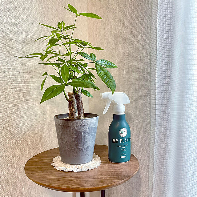 shidakaの-まとめ買い MY PLANTS 液体肥料 置肥 殺虫剤 葉面洗浄剤の5点セット 住友化学園芸 肥料 殺虫剤 送料無料の家具・インテリア写真