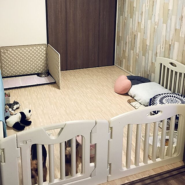 KAZUMAのアイリスオーヤマ-アイリスオーヤマ ペットサークル ベージュの家具・インテリア写真