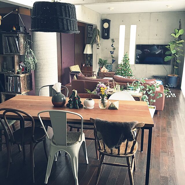 ananya___の-【現品販売】ザミア（4号丸型陶器鉢）の家具・インテリア写真