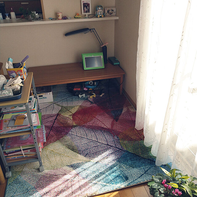 kanaeのイケヒコ・コーポレーション-ウィルトン織り　ラグ　ハミン　【イケヒコ】の家具・インテリア写真