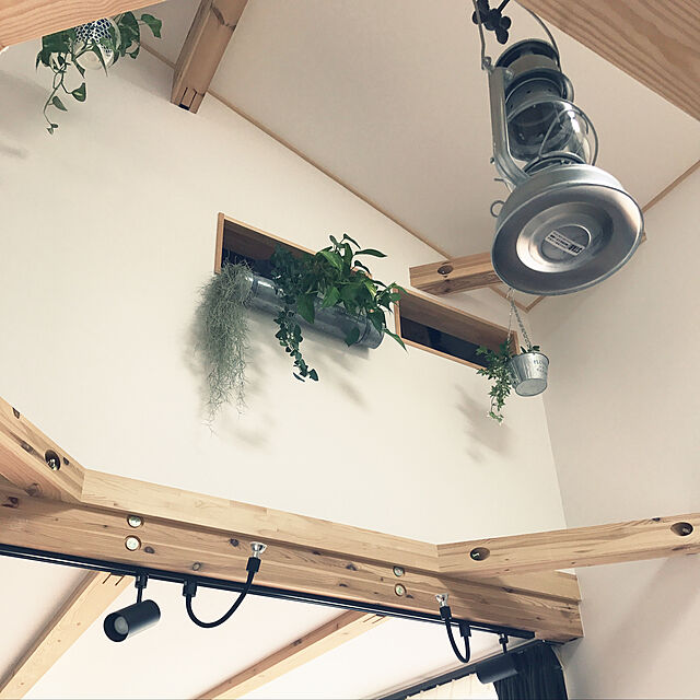 momokumiの-ティン　ハンギングプランター　Lサイズの家具・インテリア写真