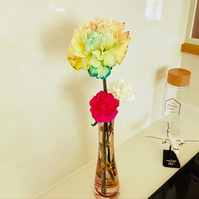 fumofumoのComSaf-ComSaf 21.5cm 花瓶 ミニ花器 ガラス製 透明グレー 3色セットの家具・インテリア写真