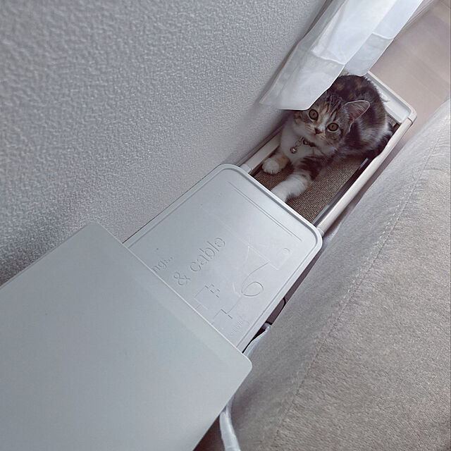mouseのリッチェル-リッチェル コロル 猫のツメみがき本体セット ベージュの家具・インテリア写真