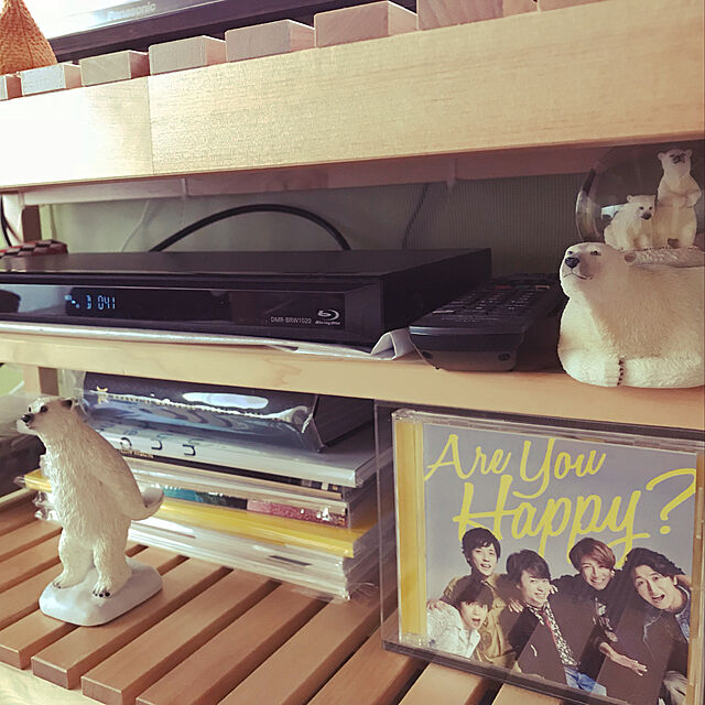 ASaMiの-【送料無料】 嵐 / Are You Happy? 【CD】の家具・インテリア写真