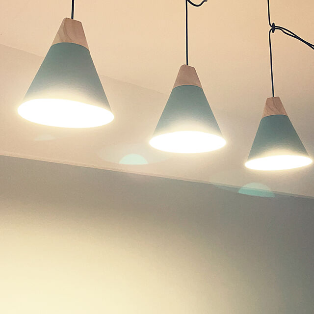 Kaoriのレイ照明-レイ照明 ペンダントライト 吊り下げ照明 1灯 インテリア照明 おしゃれ シンプル LED対応 ダクトレール用 新生活 グリーンの家具・インテリア写真