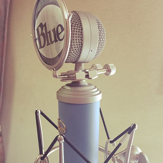 takaraのBlue Microphones-【並行輸入品】Blue Microphones ラージダイアフラム・カーディオイド・コンデンサー・マイク BLUEBIRDの家具・インテリア写真