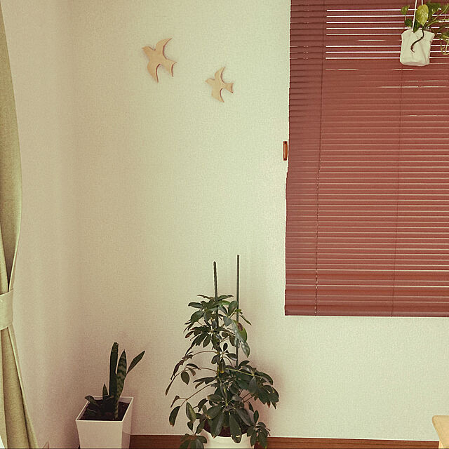 mimosaのニトリ-木目調ブラインド(MBR 75X138) の家具・インテリア写真